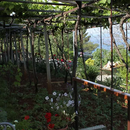 Double Medveja 7775a Guest house 3*