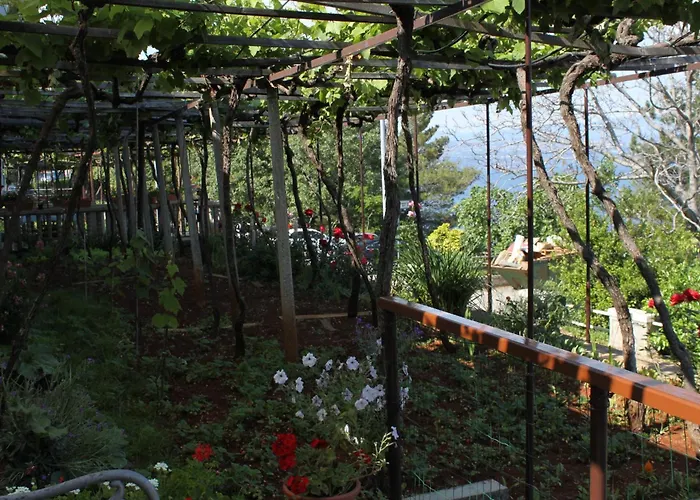 Double Medveja 7775a Gostinjska kuća 3*